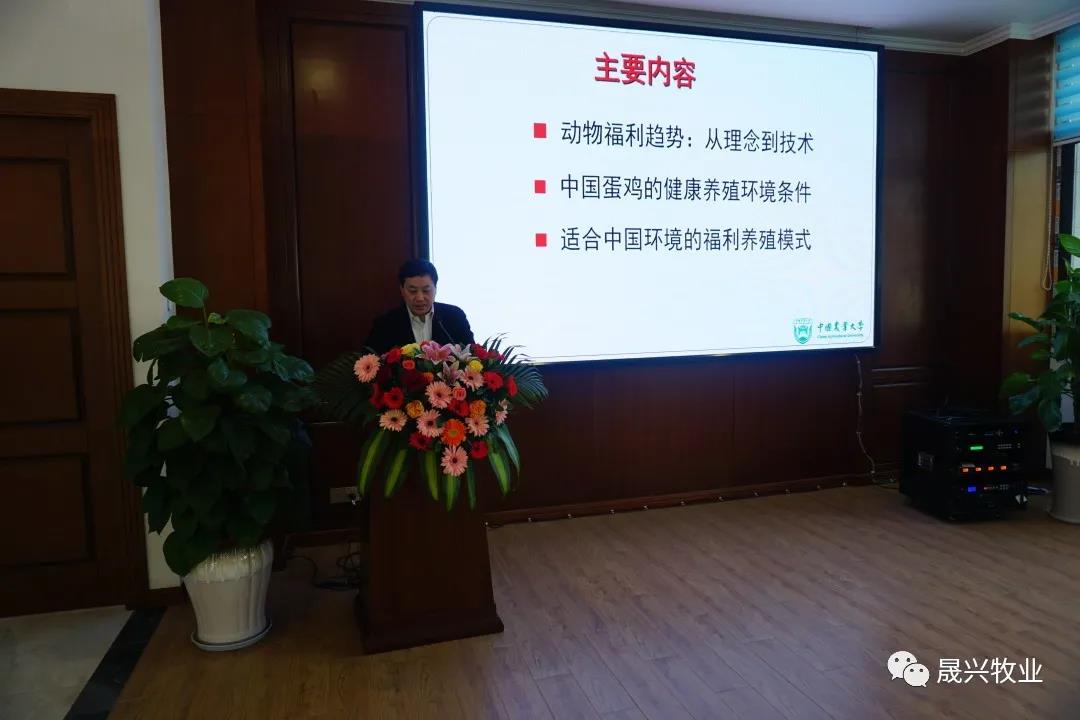 ag����(�й���)����