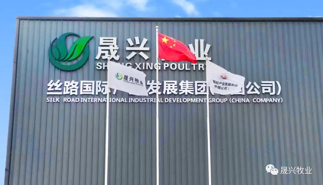 ag����(�й���)����