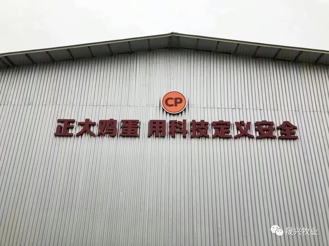 ag����(�й���)����