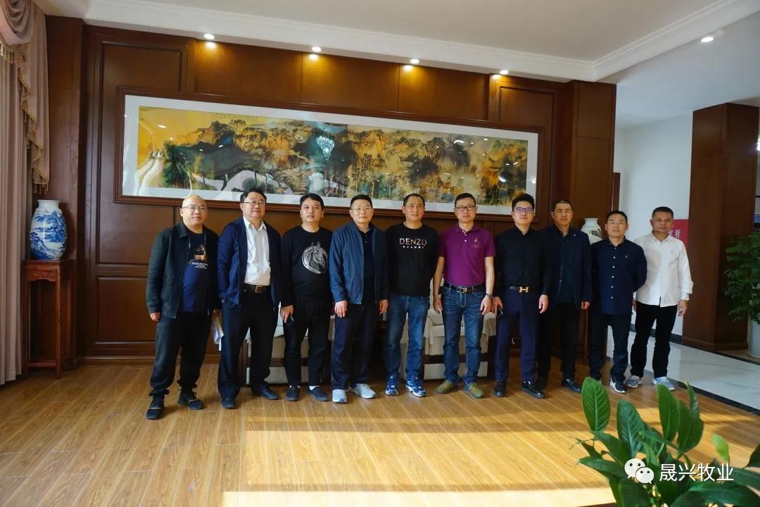 ag����(�й���)����