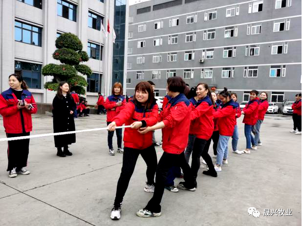 ag����(�й���)����