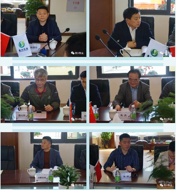 ag����(�й���)����