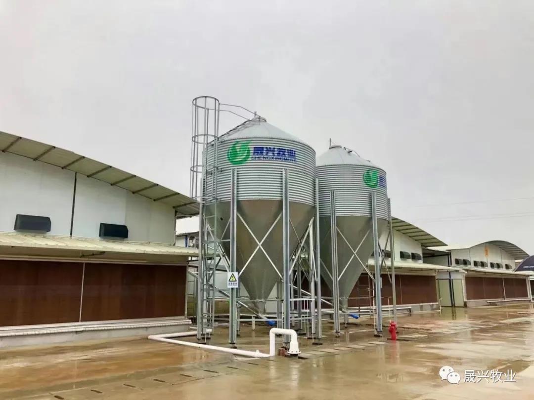 ag����(�й���)����