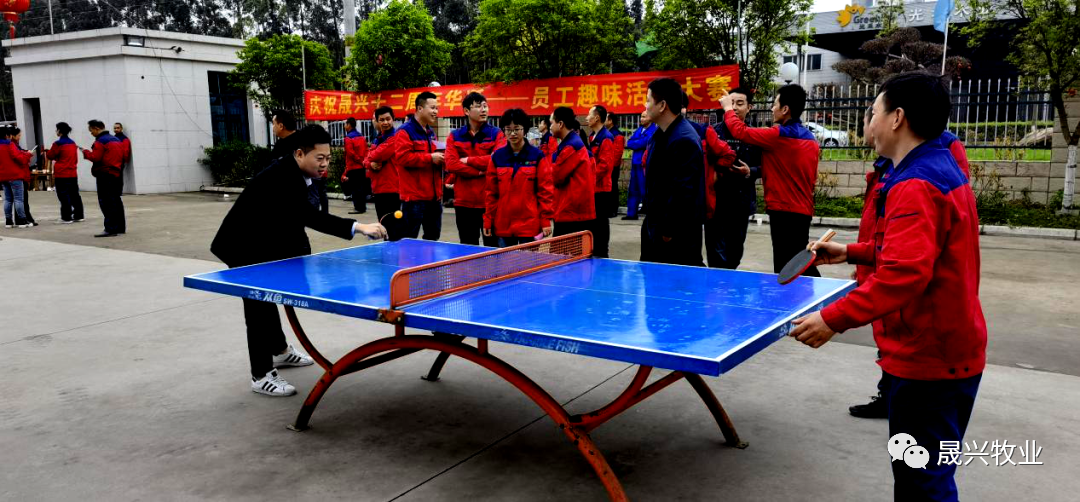 ag����(�й���)����