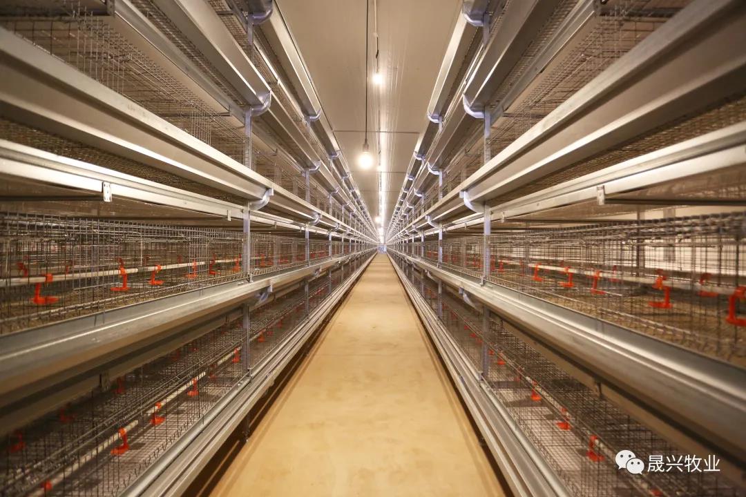 ag����(�й���)����