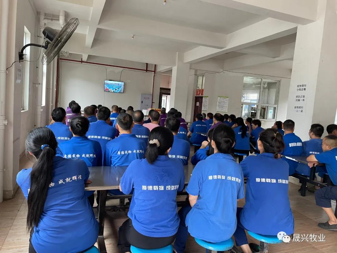 ag����(�й���)����