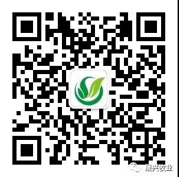 ag����(�й���)����