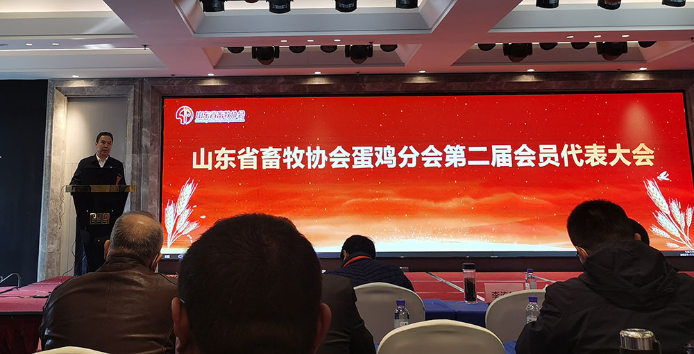 ag����(�й���)����