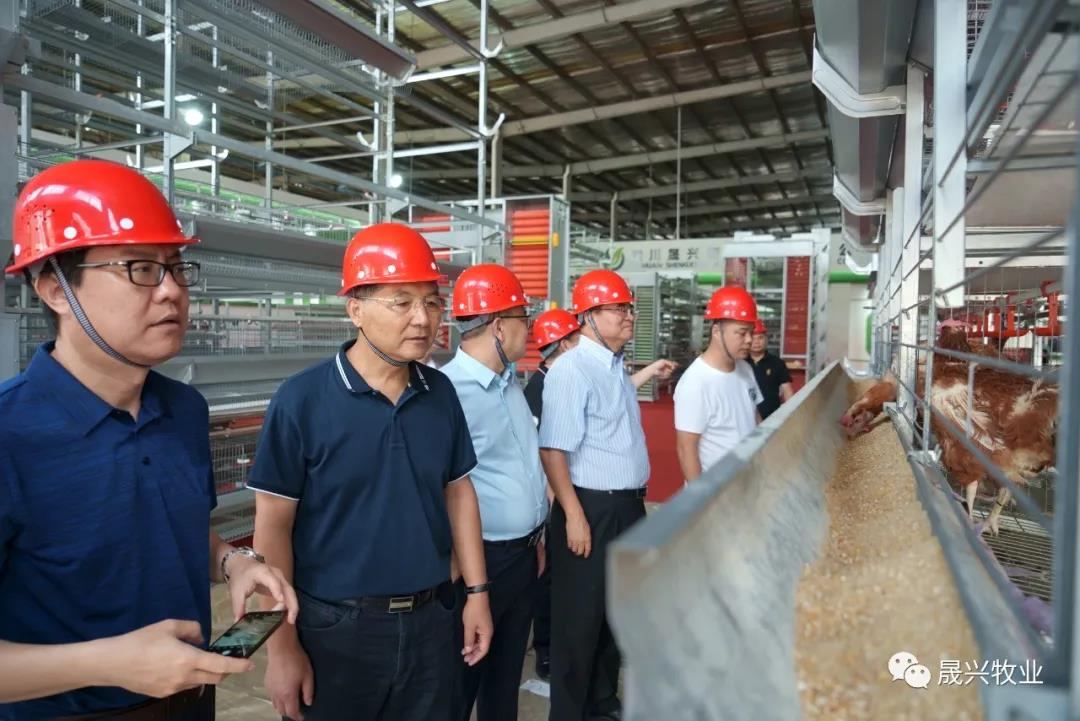 agÑÇÓÎ(ÖйúÇø)¹ÙÍø