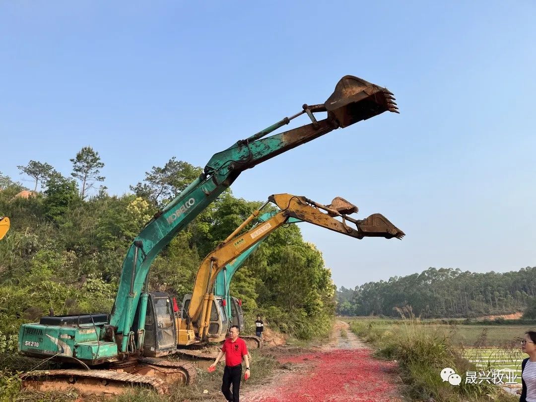 AG���μ���