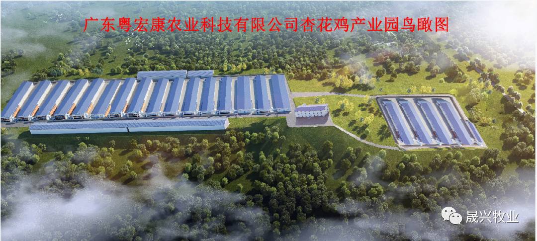 AG���μ���