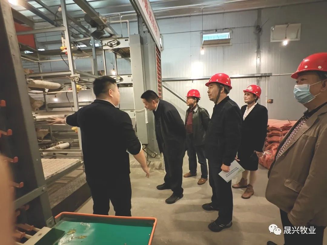 ag����(�й���)����