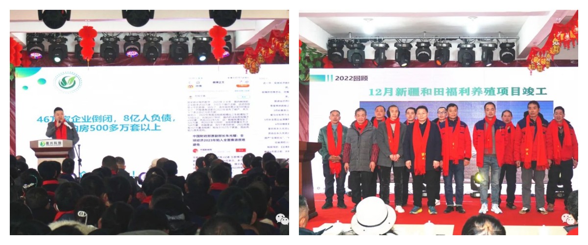 ag����(�й���)����