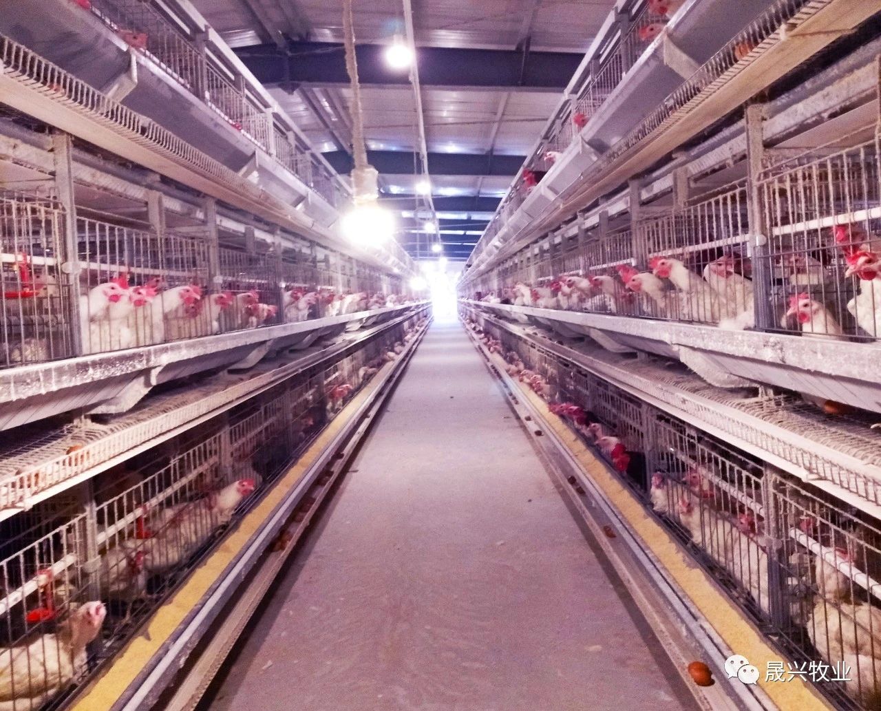 ����װ��