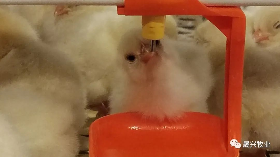 ����װ��