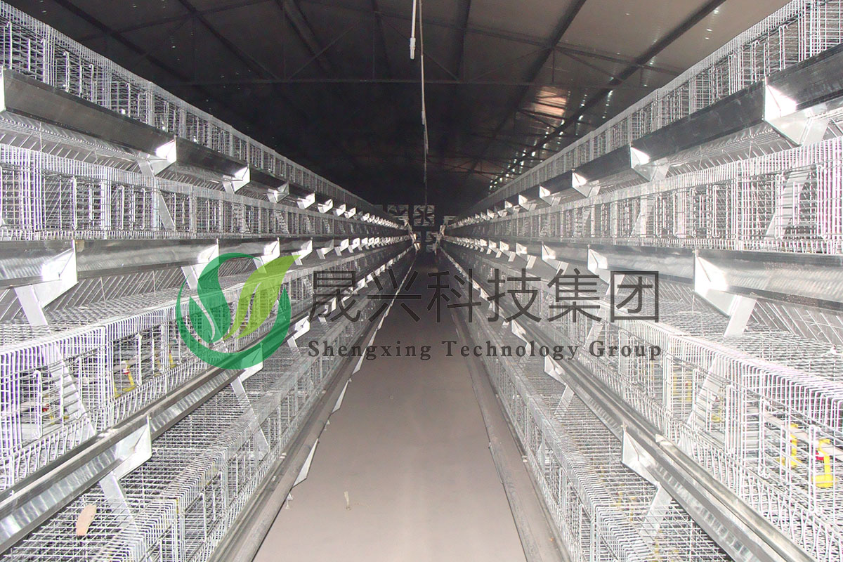 ���꼦��ֳװ��