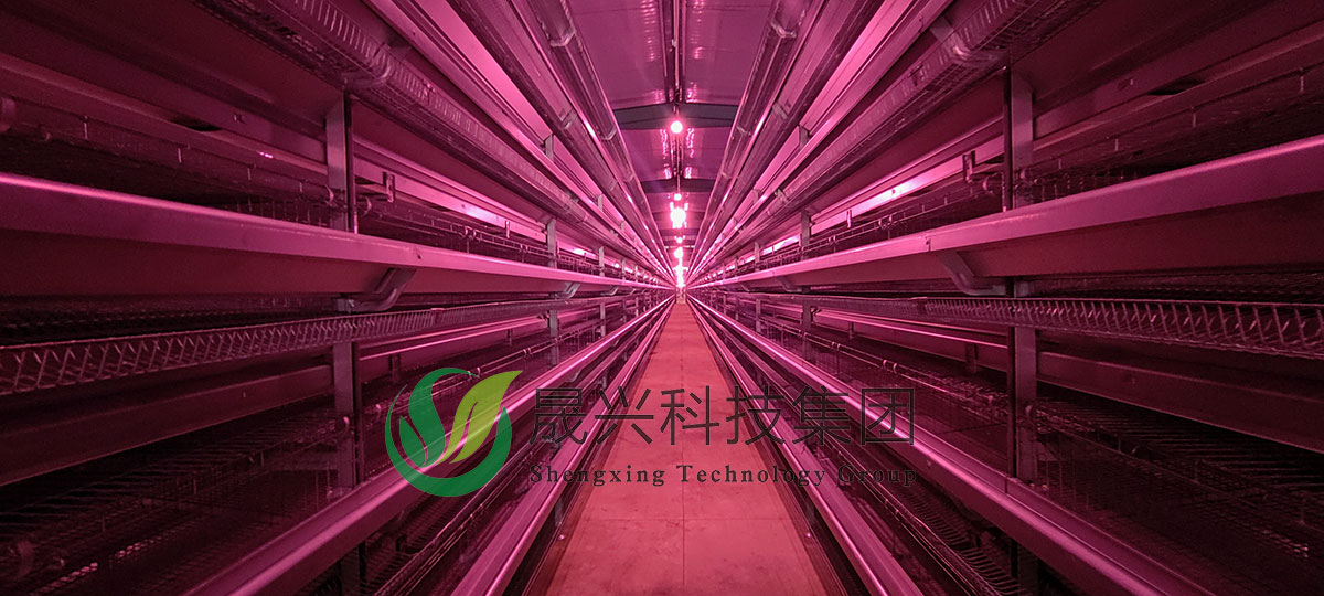 ����װ��