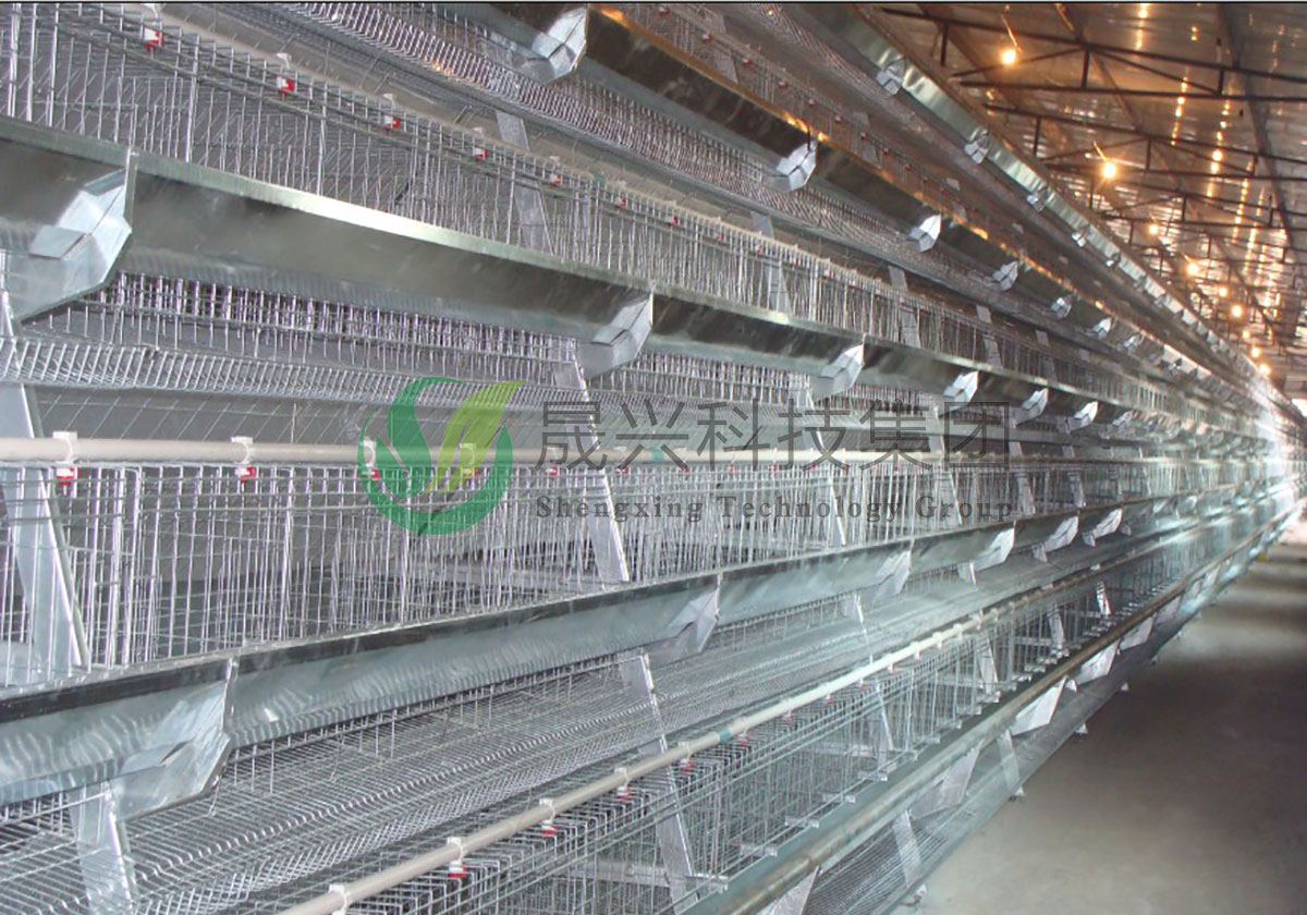 ������ֳװ��