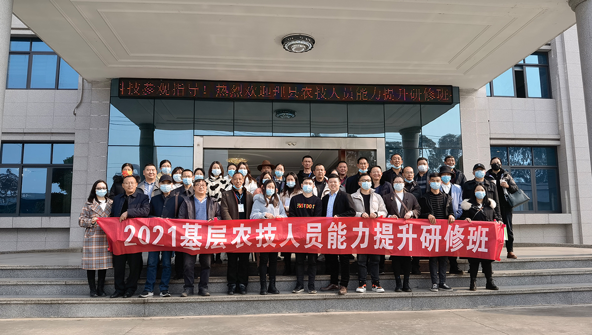 ag����(�й���)����