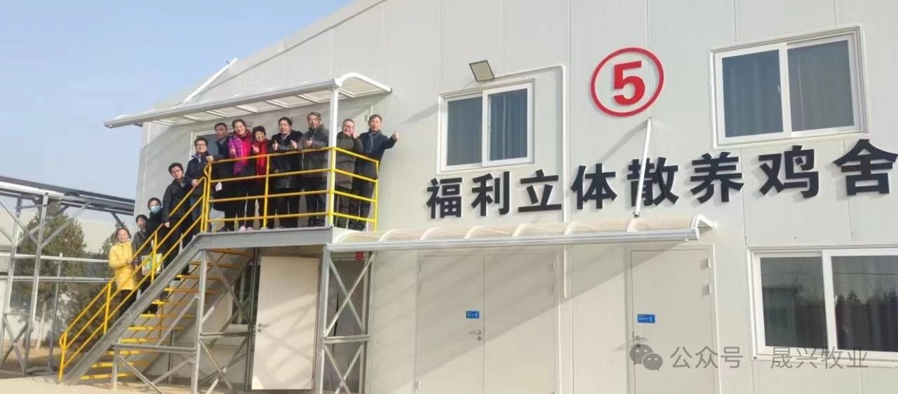 ag����(�й���)����