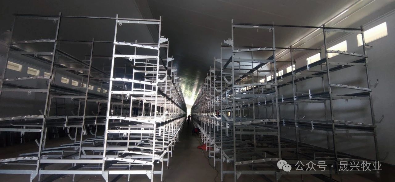 ag����(�й���)����