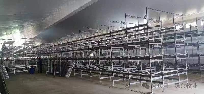 ag����(�й���)����