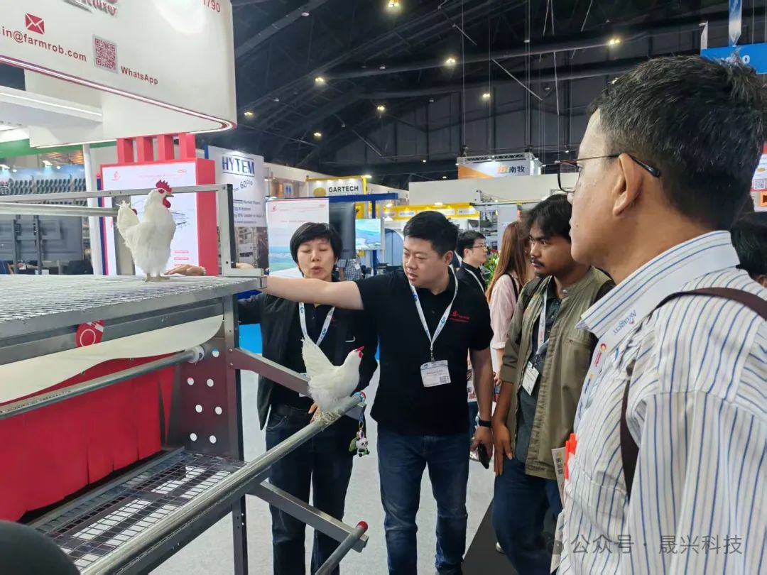 ������ֳװ��