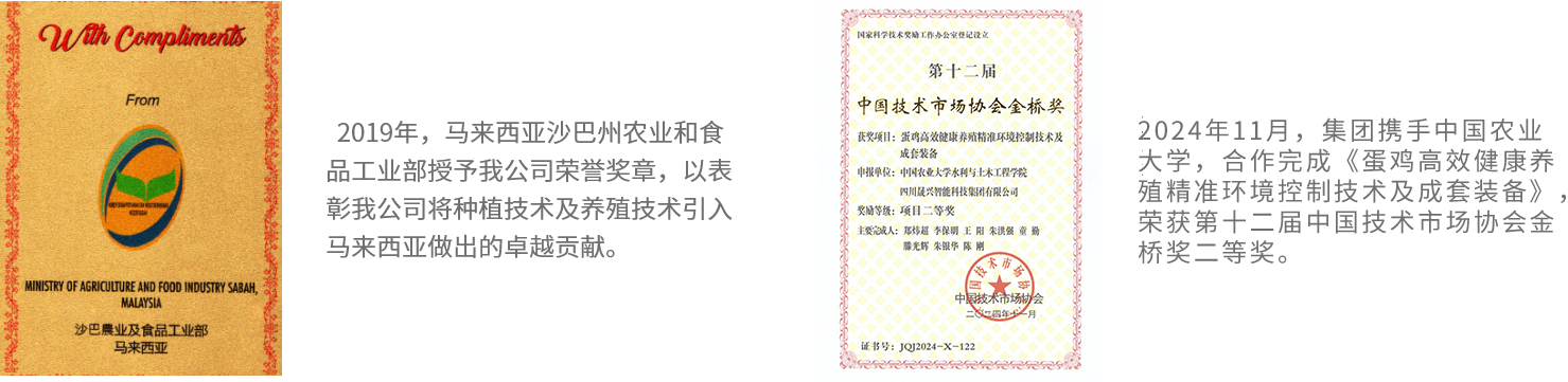 ag����(�й���)����