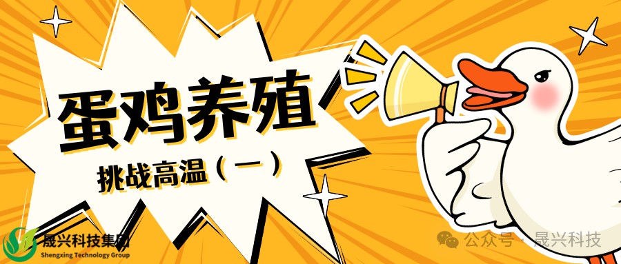 ag����(�й���)����