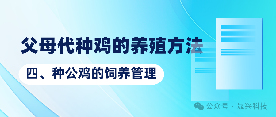 Ñø¼¦×°±¸ Ñø¼¦×°±¸