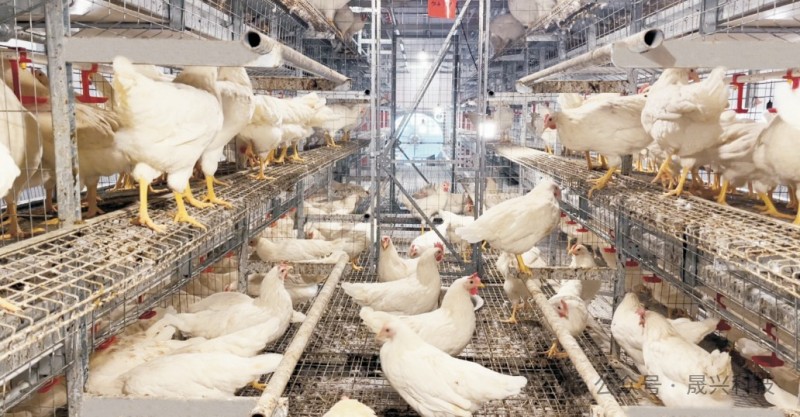 ����װ��