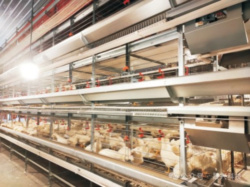 ����װ��