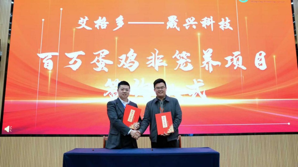 ����װ��