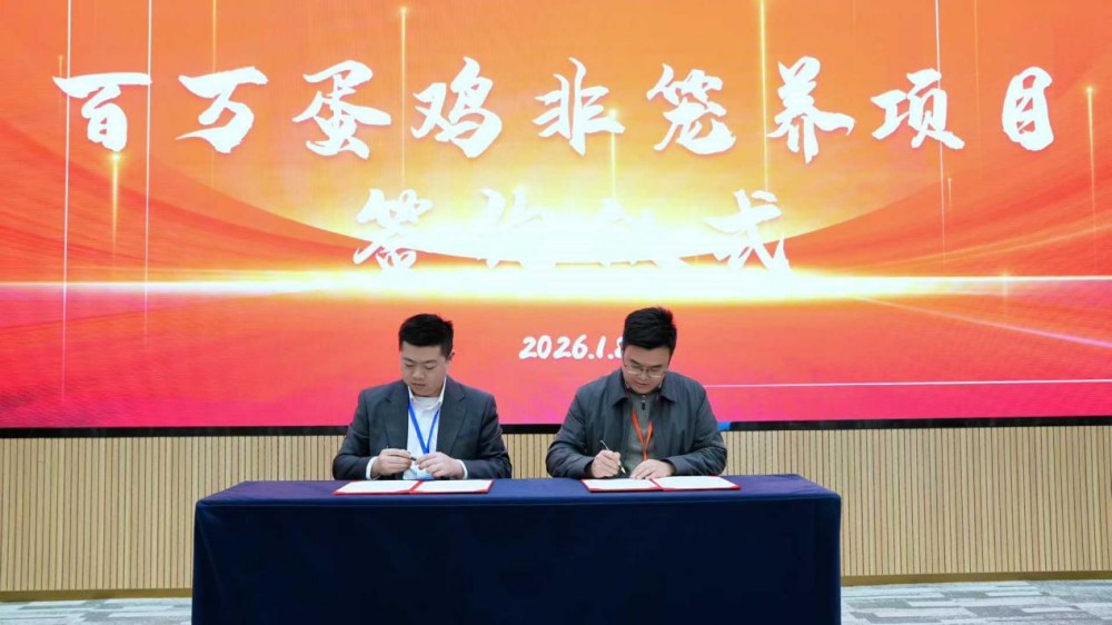 ����װ��