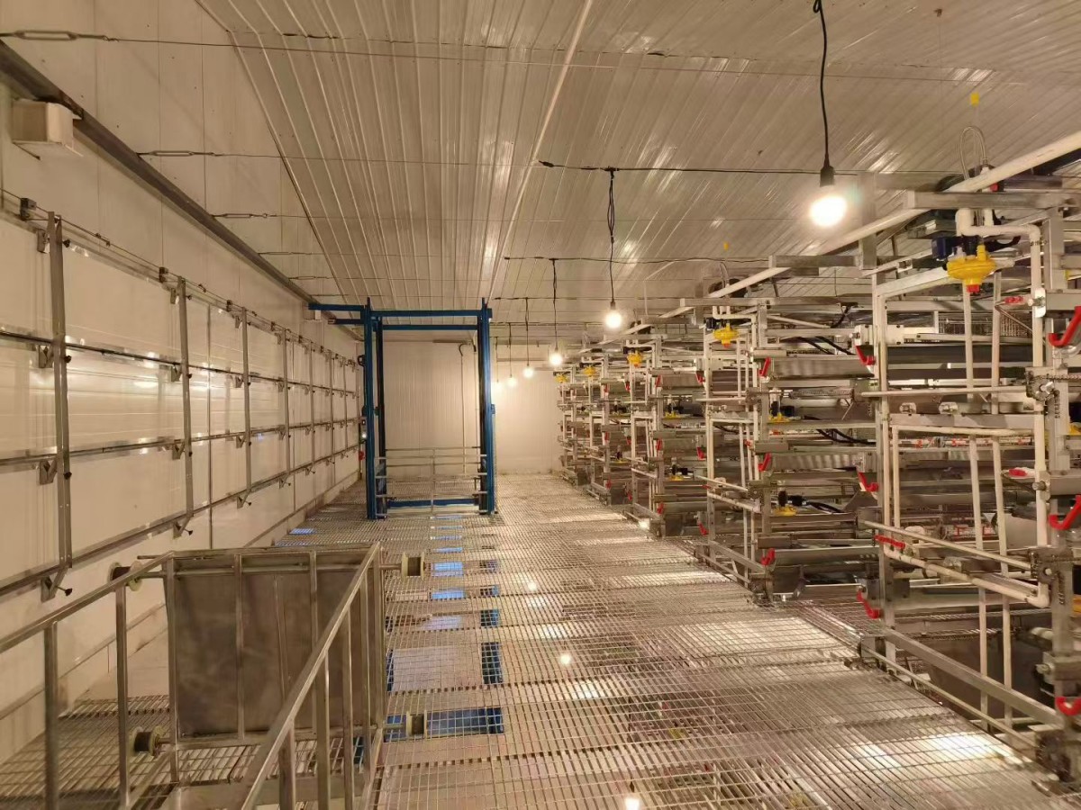 ����װ��